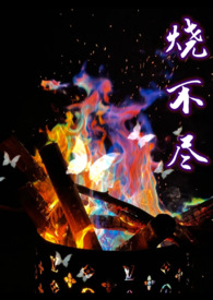 烧不尽回南雀全文番外完整版
